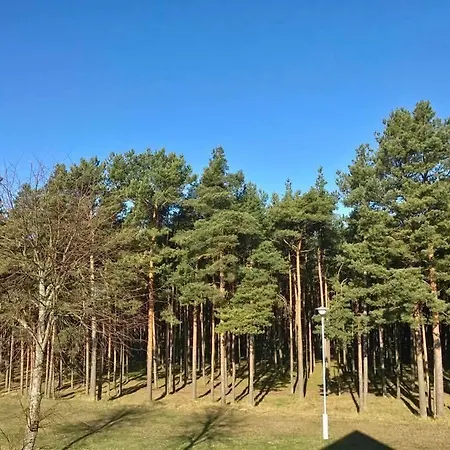 Kranto *