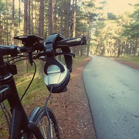 Kranto Lägenhet Palanga