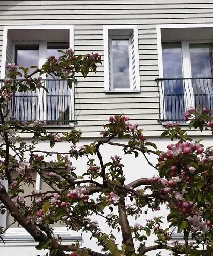 Kranto * פלאנגה